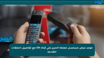 موعد عرض مسلسل مملكة الحرير على قناة ON مع تفاصيل الحلقات القادمة